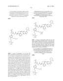 KINASE INHIBITORS diagram and image