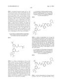 KINASE INHIBITORS diagram and image