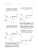 KINASE INHIBITORS diagram and image