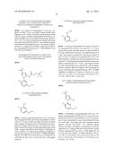 KINASE INHIBITORS diagram and image