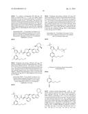 KINASE INHIBITORS diagram and image