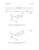 KINASE INHIBITORS diagram and image