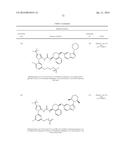 KINASE INHIBITORS diagram and image