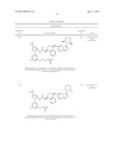 KINASE INHIBITORS diagram and image