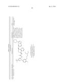 KINASE INHIBITORS diagram and image