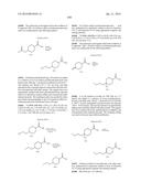 SPIROIMIDAZOLONE DERIVATIVE diagram and image