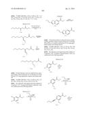 SPIROIMIDAZOLONE DERIVATIVE diagram and image