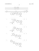 BETA-LACTAMASE INHIBITORS diagram and image