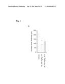 AMINO- OR AMMONIUM-CONTAINING SULFONIC ACID, PHOSPHONIC ACID AND     CARBOXYLIC ACID DERIVATIVES AND THEIR MEDICAL USE diagram and image