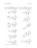 STABILIZED NUCLEOTIDES FOR MEDICAL TREATMENT diagram and image