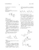 STABILIZED NUCLEOTIDES FOR MEDICAL TREATMENT diagram and image