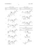 STABILIZED NUCLEOTIDES FOR MEDICAL TREATMENT diagram and image