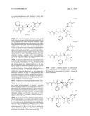 STABILIZED NUCLEOTIDES FOR MEDICAL TREATMENT diagram and image