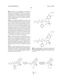 STABILIZED NUCLEOTIDES FOR MEDICAL TREATMENT diagram and image