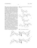 STABILIZED NUCLEOTIDES FOR MEDICAL TREATMENT diagram and image