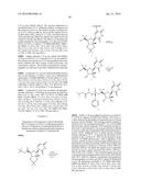 STABILIZED NUCLEOTIDES FOR MEDICAL TREATMENT diagram and image