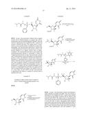 STABILIZED NUCLEOTIDES FOR MEDICAL TREATMENT diagram and image