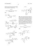 STABILIZED NUCLEOTIDES FOR MEDICAL TREATMENT diagram and image