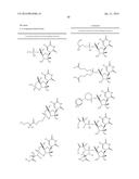 STABILIZED NUCLEOTIDES FOR MEDICAL TREATMENT diagram and image