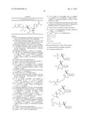 STABILIZED NUCLEOTIDES FOR MEDICAL TREATMENT diagram and image