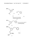 Synthetic Polymers Containing Amino Acid Side Chains diagram and image