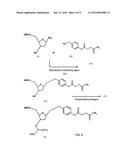Synthetic Polymers Containing Amino Acid Side Chains diagram and image