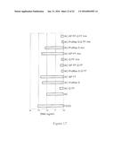 Methods of Reducing Level of One or More Impurities in a Sample During     Protein Purification diagram and image