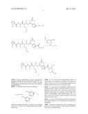 PROCESS FOR PREPARING TUBULYSINS diagram and image