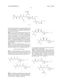 PROCESS FOR PREPARING TUBULYSINS diagram and image