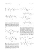 PROCESS FOR PREPARING TUBULYSINS diagram and image