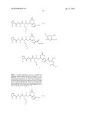 PROCESS FOR PREPARING TUBULYSINS diagram and image