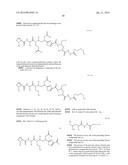 PROCESS FOR PREPARING TUBULYSINS diagram and image