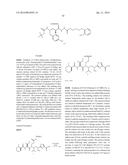 PROCESS FOR PREPARING TUBULYSINS diagram and image