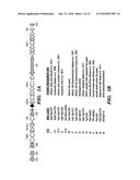 VIBRO-BASED DELIVERY SYSTEM AND IMMUNE SUPPRESSION diagram and image