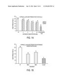 METHODS AND COMPOSITIONS WITH IMMUNE THERAPY FOR TREATMENT OF DEMENTIA diagram and image