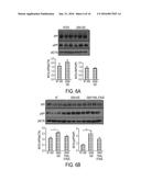 METHODS AND COMPOSITIONS WITH IMMUNE THERAPY FOR TREATMENT OF DEMENTIA diagram and image