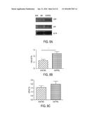 METHODS AND COMPOSITIONS WITH IMMUNE THERAPY FOR TREATMENT OF DEMENTIA diagram and image