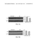 METHODS AND COMPOSITIONS WITH IMMUNE THERAPY FOR TREATMENT OF DEMENTIA diagram and image