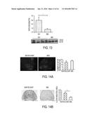 METHODS AND COMPOSITIONS WITH IMMUNE THERAPY FOR TREATMENT OF DEMENTIA diagram and image