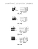 METHODS AND COMPOSITIONS WITH IMMUNE THERAPY FOR TREATMENT OF DEMENTIA diagram and image