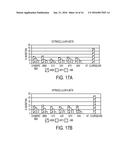 METHODS AND COMPOSITIONS WITH IMMUNE THERAPY FOR TREATMENT OF DEMENTIA diagram and image