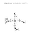 T CELL RECEPTOR MIMIC RL9A diagram and image