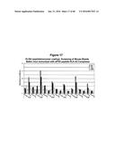 T CELL RECEPTOR MIMIC RL9A diagram and image