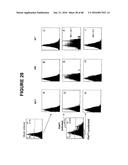 T CELL RECEPTOR MIMIC RL9A diagram and image