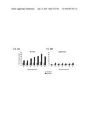 T CELL RECEPTOR MIMIC RL9A diagram and image