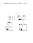 T CELL RECEPTOR MIMIC RL9A diagram and image