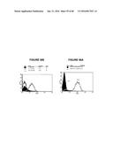 T CELL RECEPTOR MIMIC RL9A diagram and image