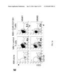 TARGETING CD138 IN CANCER diagram and image