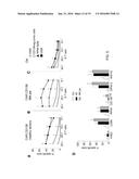 TARGETING CD138 IN CANCER diagram and image