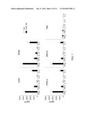 TARGETING CD138 IN CANCER diagram and image